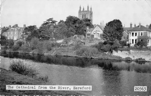BR94391 the cathedral from the river hereford uk
