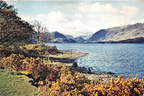 uk46582 derwentwater from broomhill point uk
