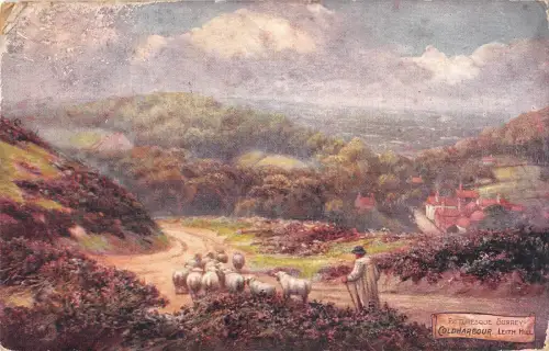uk27561 coldharbour leith hill malerisch surrey uk