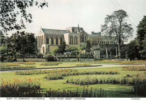 uk49445 cathedral view from abbey gardens bury st edmunds uk