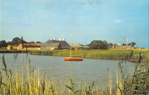 uk9529 snape matlings from river alde uk