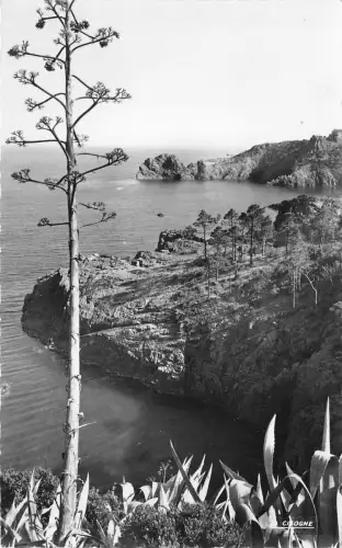 BF4384 corniche d or les rochers rouges var france