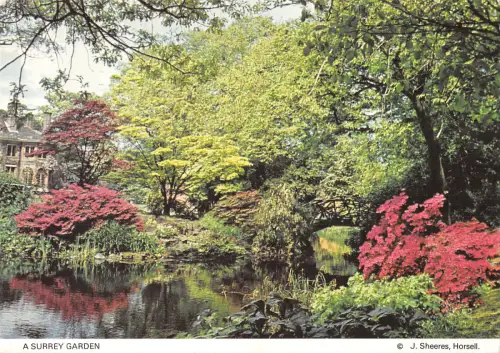 uk34570 surrey garden uk