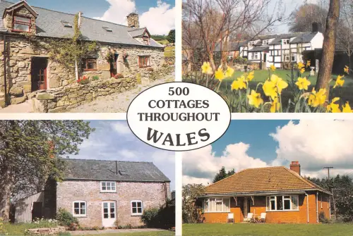 uk1583 500 Cottages in ganz Wales Newtown Echtfoto Malta