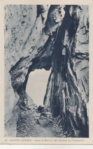 BF32228 dans le sentier des roches du fran h vosges france front/back image