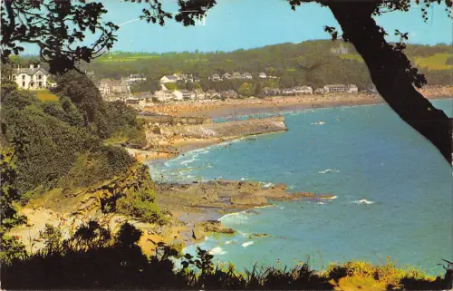 uk10334 swall tree woods saundersfoot wales uk