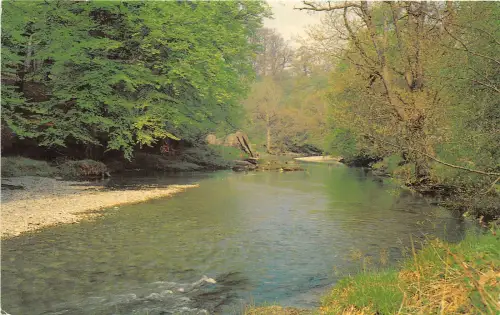 uk51576 river wye rhayader wales uk