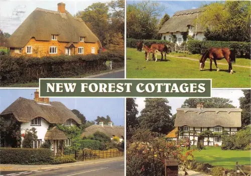 uk48711 new forest cottages uk