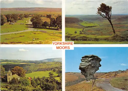 uk44163 yorkshire moors uk glaisdale