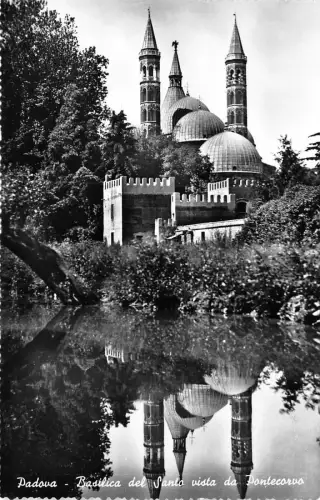 BG29817 padova basilica del santo vista da pontecorvo italy CPSM 14x9cm