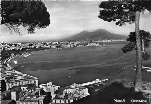 BG31009 Napoli Panorama Italien CPSM 14,5x10cm