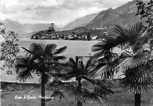 BG31238 lago di garda malcestine italy CPSM 14,5x10cm