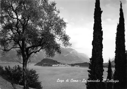 BG30954 lago di como la penisola di bellagio italy CPSM 14,5x10cm
