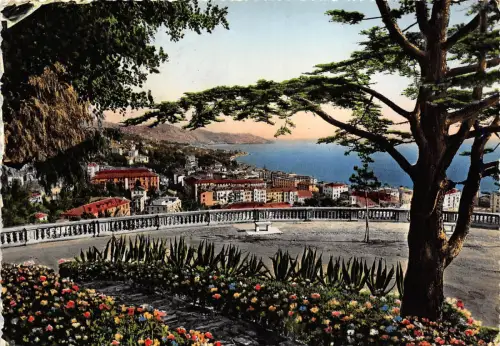 BG30932 san remo vista dai giardini reg elena italy CPSM 14,5x10cm