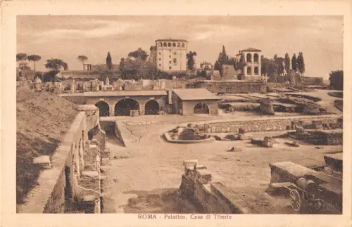 B104584 Ruine Roma Palatino Casa di Tiberio
