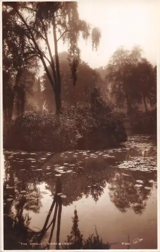 uk17864 the dingel shrewsbury real photo uk