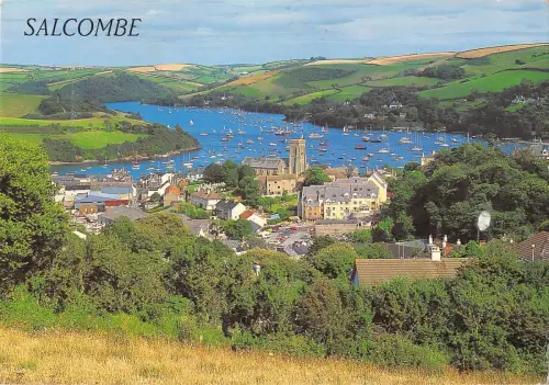 BR91821 Salcombe von Bonfire Hill UK