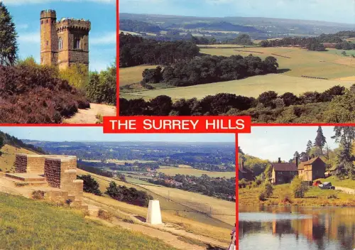 BR75925 the surrey hills uk