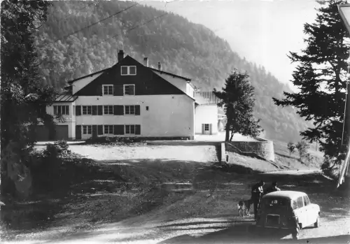 B56685 Les Narcisses Le Pailly Gex france