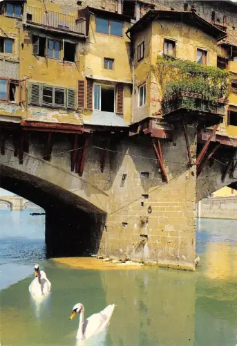 BT1443 firenze particolare italy