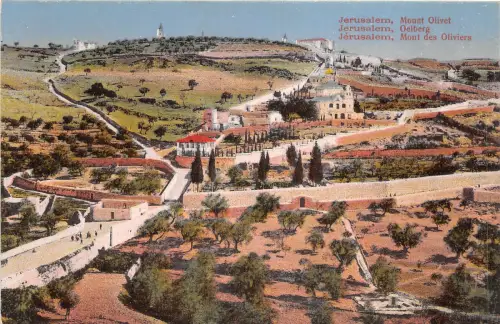 Lot184 Israel Jerusalem Berg Olivet