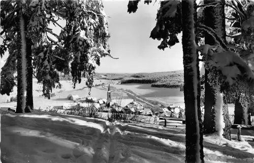 BG15046 schonwald schwarzwald hohenluftkurort germany CPSM 14x9cm