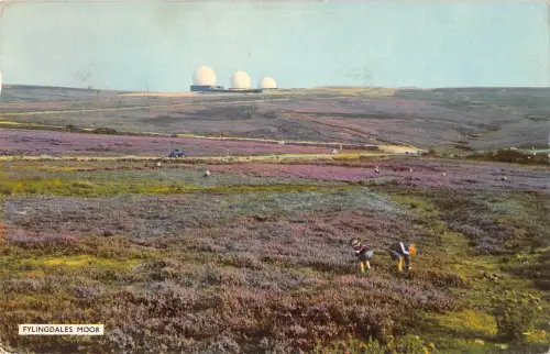 uk7577 fylingdales moor uk