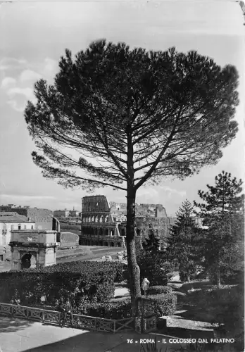BR17756 Roma Il Coloseo dal palatino italy