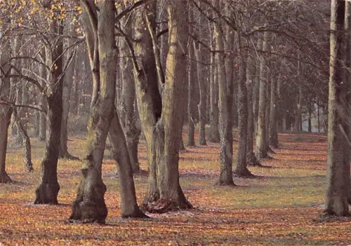 BT4236 Plateau de Saint anne Argonne Frankreich