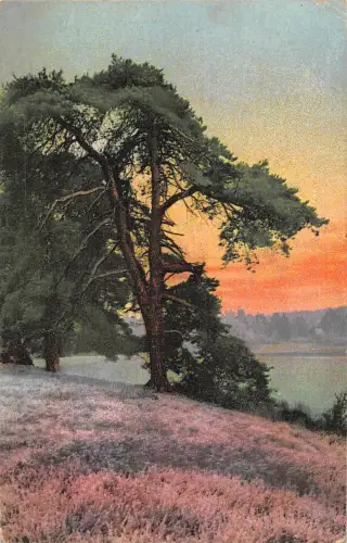 uk23585 virginia water uk