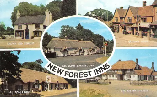 uk51991 new forest inns uk