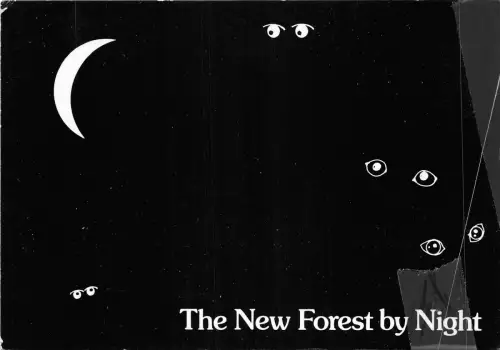 uk49892 new forest by night uk