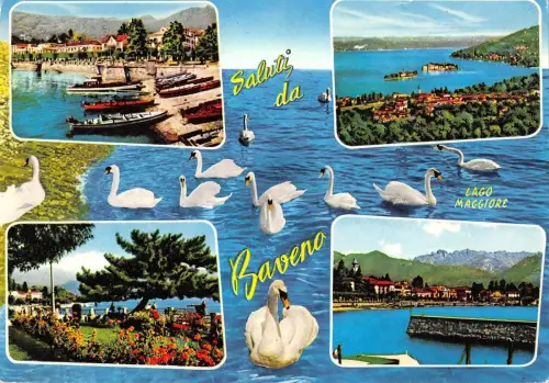 BT1137 saluti da ravena lago maggiore swan cygne italy