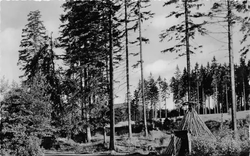 BG7331 im malerischen hochharz orig kohlerhütte germany CPSM 14x9cm