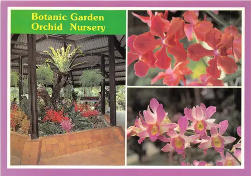 us8150 botanic garden orchidee gärtnerei singapore