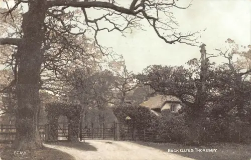 uk3805 buck gates thoresby nottinghamshire echtfoto uk