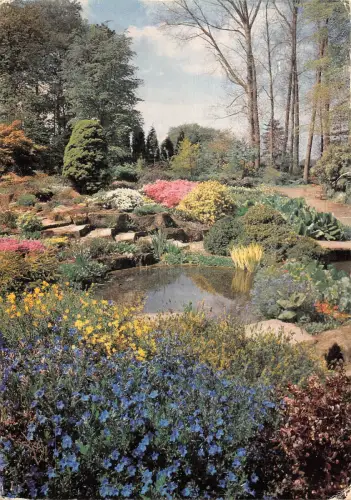 BR82561 the royal horticultural society s garden woking wisley uk