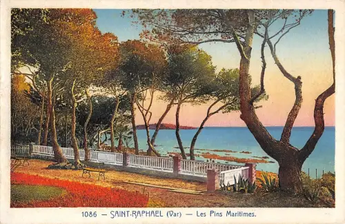 BR73077 saint raphael les pins maritimes france