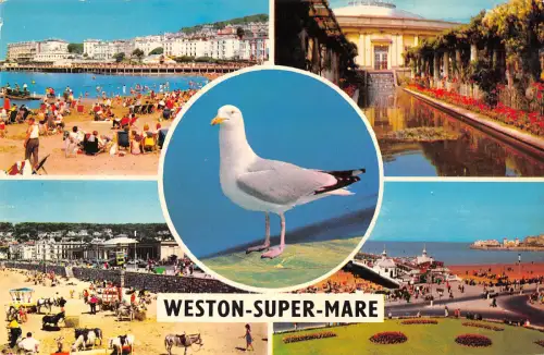 uk10669 weston super mare uk