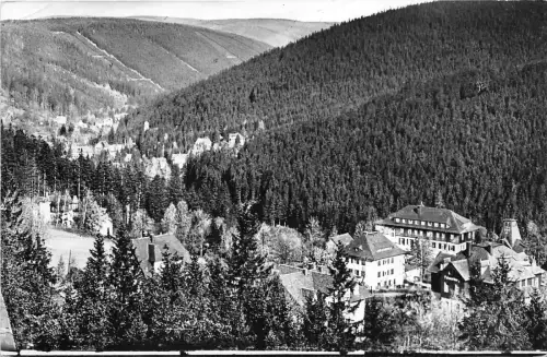 BG15577 barenfels i erzgeb nach kipsdorf germany CPSM 14x9cm