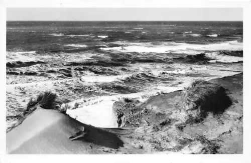 BG23749 insel sylt rotes kliff germany CPSM 14x9cm