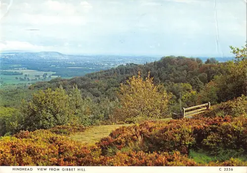 uk6240 hindhead gibbet hill uk