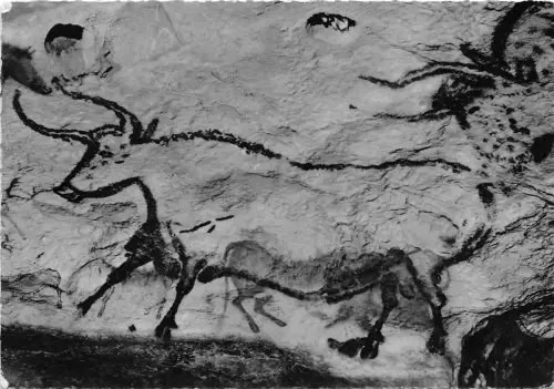 BF40721 bovides montignac sur vezere lascaux peinture rupestre Höhlenmalerei