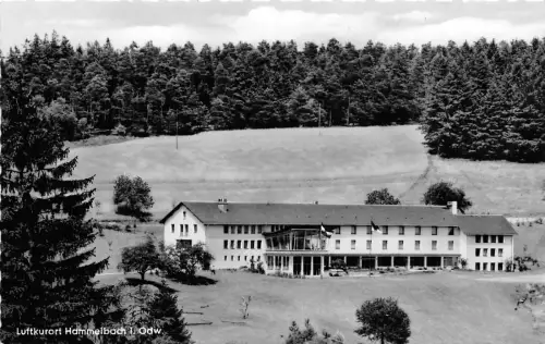 BG29016 hammelbach i odw kinderkurheim der stadt herne germany CPSM 14x9cm