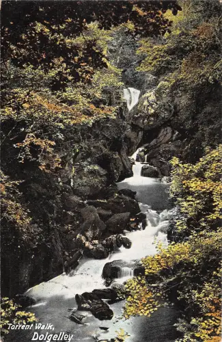uk3037 torrent walk dolgelley dolgellau wales real photo uk