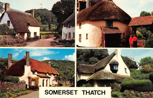 uk10561 somerset tatch uk