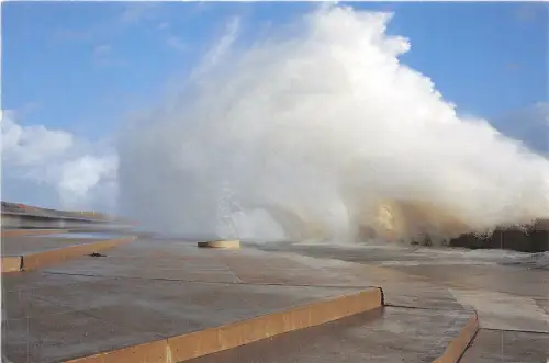 uk50507 samphire hoe uk