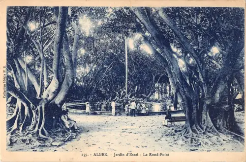 BF8882 jardin d essai le rond point algeria Algeria