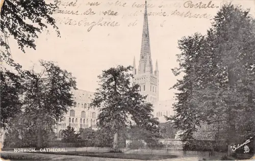 uk3681 norwich cathedral norfolk real photo uk