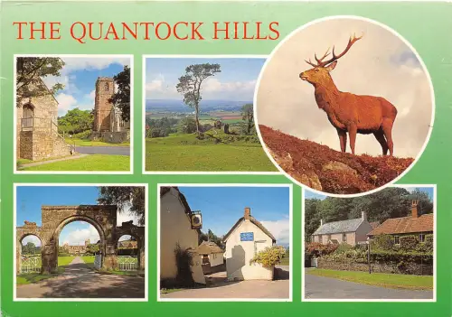 uk44245 quantock hills uk